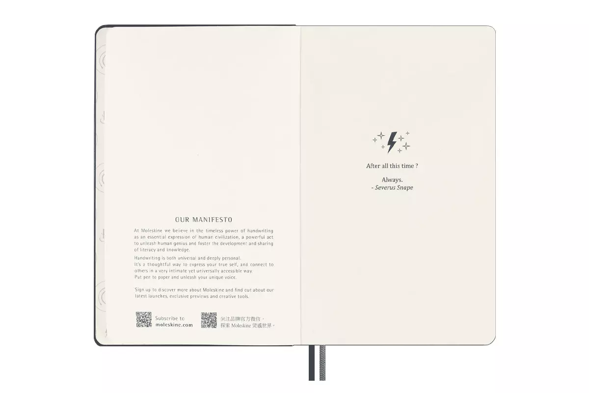 Een Moleskine Harry Potter Expecto Patronum Large Ruled Notebook LE koop je bij Moleskine.nl